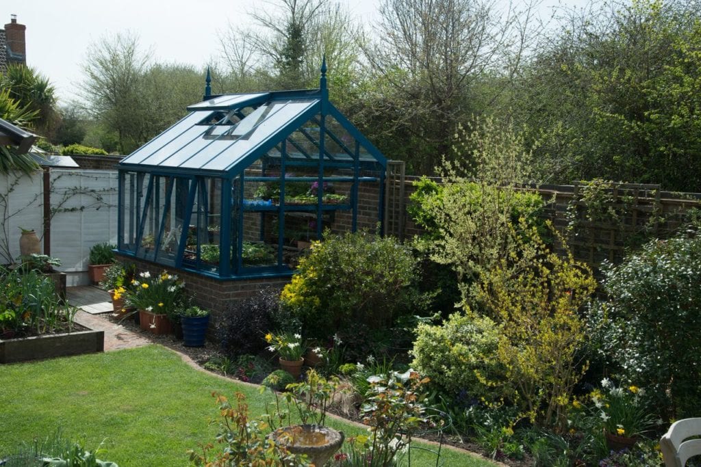 Blue greenhouse in Hampshire garden.