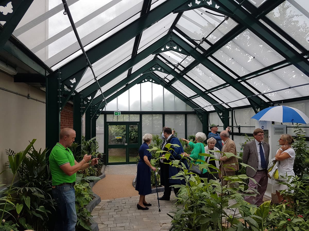 Butterflies fly high in new Griffin glasshouse Butterfly House Portsmouth
