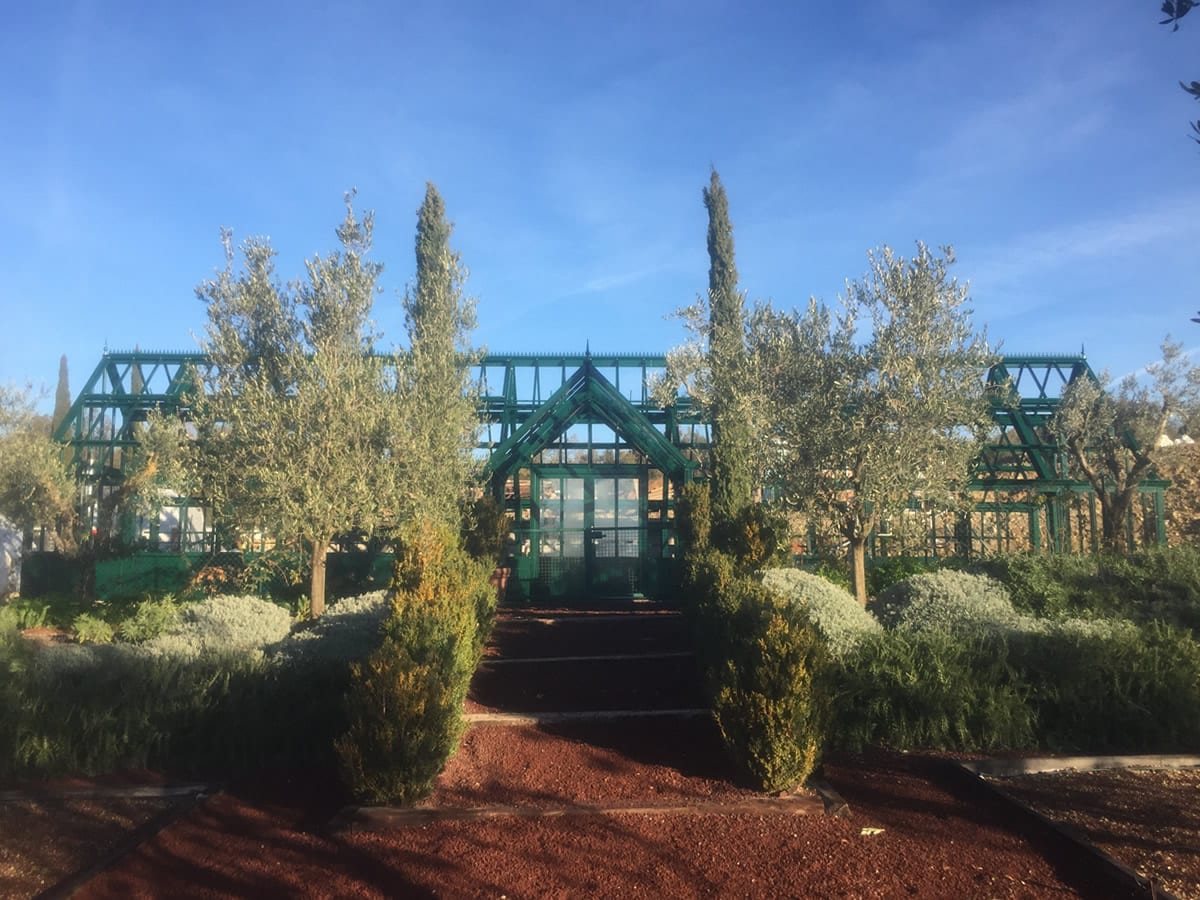 Coriander Traditional Greenhouse National Garden Scheme NGS